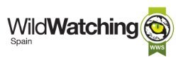 Wildwatching Spain