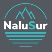 Nalusur