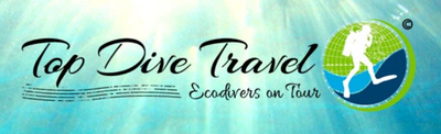 Top Dive Travel