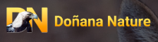 Doñana Nature