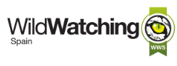 Wildwatching Spain