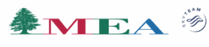 MEA Middle East Airlines