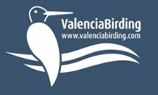 Valencia Birding